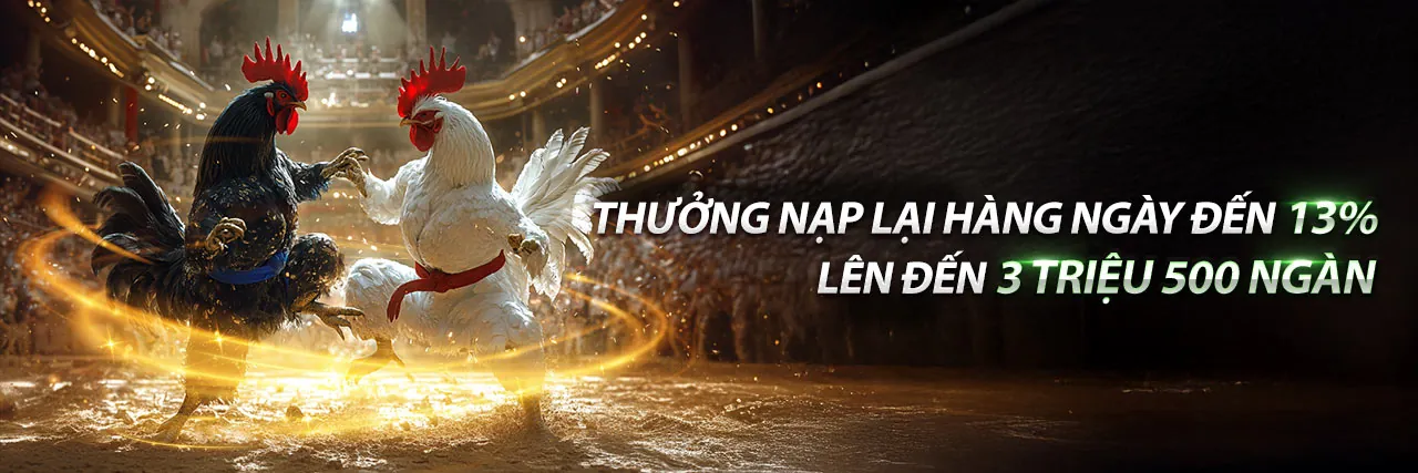 Cá cược thể thao sôi động tại tải FH88